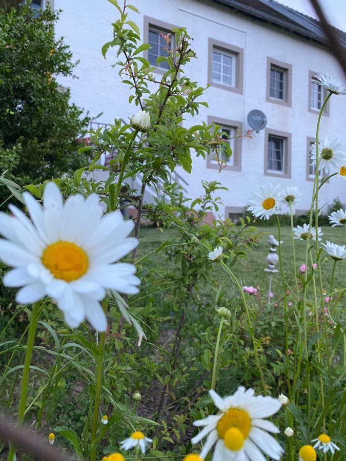 An Der Walnuss Apartment Feilsdorf Bagian luar foto